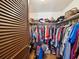 Walk-in closet with ample storage space, rods and shelves for organization at 2904 Pointer Pl, Seffner, FL 33584