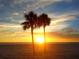 Stunning sunset silhouette of palm trees at waters edge on the beach at 217 50Th N Ter, St Petersburg, FL 33703