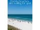 Wide sandy beach filled with visitors enjoying the clear blue ocean under a sunny sky at 264 Seagate Ct, Dunedin, FL 34698