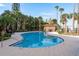 A luxurious outdoor pool surrounded by palm trees and resort-style amenities at 264 Seagate Ct, Dunedin, FL 34698