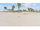 Sandy beach with palm trees dotting the landscape, seagulls, and blue sky at 426 Village Dr, Tarpon Springs, FL 34689