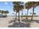 Beautiful palm tree lined beach with people enjoying their time under the sunny sky at 426 Village Dr, Tarpon Springs, FL 34689