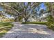 Expansive property showcasing mature trees and a well-manicured lawn, providing privacy and natural beauty at 450 Bayshore Dr, Terra Ceia, FL 34250