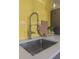 Close-up of a stainless steel kitchen sink with modern faucet and yellow backsplash at 7006 N Duncan Ave, Tampa, FL 33604
