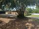 Exterior view of a home partially obscured by a large tree and shaded yard at 703 E Hamilton Ave, Tampa, FL 33604