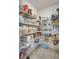 Organized walk-in pantry with ample shelving and storage space at 7331 Canterbury Bells Ct, Tampa, FL 33619