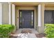 Inviting front door with sidelights and decorative columns at 10144 Arbor Run Dr # 157, Tampa, FL 33647