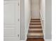 Carpeted staircase with white railing, leading to the upper level of the home; door for access at 10144 Arbor Run Dr # 157, Tampa, FL 33647