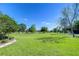 Expansive green space with mature trees offering shade and tranquility at 10868 Breaking Rocks Dr, Tampa, FL 33647