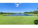 Scenic view of a beautiful pond surrounded by lush greenery and a clear blue sky at 10868 Breaking Rocks Dr, Tampa, FL 33647