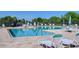 Community pool area with lounge chairs, umbrellas, and clear blue water for relaxation and recreation at 10868 Breaking Rocks Dr, Tampa, FL 33647
