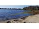 A lakeside view from the shore at 11309 Tulane St, New Port Richey, FL 34654
