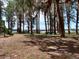 Scenic park with playground, benches, and lush trees overlooking a tranquil lake at 11309 Tulane St, New Port Richey, FL 34654