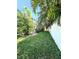 Landscaped backyard with green grass and tall palm trees on a sunny day at 11936 Sand Myrtle Rd, Riverview, FL 33579