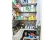 Organized pantry showcasing shelving, containers, snacks and a decorative tile backsplash at 11936 Sand Myrtle Rd, Riverview, FL 33579