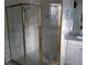 Bathroom featuring a standup shower enclosed by brass and glass doors, complemented by white cabinetry at 1803 Longview Ln, Tarpon Springs, FL 34689