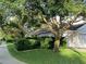 Single story home with tree in the front yard and well-manicured shrubbery around the perimeter at 1803 Longview Ln, Tarpon Springs, FL 34689