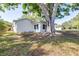 A beautiful and expansive yard with a large shade tree next to the exterior of the home at 2244 Glenmoor N Rd, Clearwater, FL 33764
