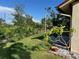 Beautiful backyard landscaping with lush grass and mature trees, perfect for outdoor relaxation at 2250 Sequoia Dr, Clearwater, FL 33763