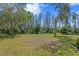 Expansive backyard with lush green grass and mature trees, perfect for outdoor activities and relaxation at 2935 Winglewood Cir, Lutz, FL 33558