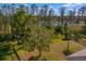 Scenic backyard overlooking lush greenery and tranquil water features, perfect for relaxation and privacy at 2935 Winglewood Cir, Lutz, FL 33558
