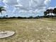 Large, vacant lot with scattered trees, providing ample space for building or recreational activities at 301 Caloosa Palms Ct, Sun City Center, FL 33573