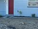 Well-maintained front yard with fresh landscaping, light-colored gravel, and a handsome ginger cat at 3615 Kingsbury Dr, Holiday, FL 34691