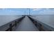 Scenic view of a pier extending into the water with city skyline in the distance at 459 Bahia Beach Blvd, Ruskin, FL 33570