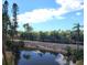 Scenic view overlooking a tranquil pond, lush greenery, and a glimpse of the ocean beyond the tropical trees at 7430 Sunshine Skyway S Ln # 305, St Petersburg, FL 33711