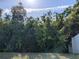 Lush backyard area with dense greenery and a partial view of the surrounding landscape at 11527 Southern Creek Dr, Gibsonton, FL 33534