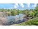 Tranquil pond with tree branches in the water, surrounded by lush vegetation at 12310 Streambed Dr, Riverview, FL 33579