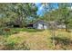 View of screened in porch and large trees in back yard at 1308 W Perdiz St, Tampa, FL 33612