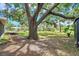 Lush backyard featuring mature trees and a partial view of the adjacent screened porch at 1308 W Perdiz St, Tampa, FL 33612