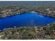 Breathtaking aerial view of a pristine lake surrounded by lush greenery, showcasing the property's serene and natural setting at 16019 Chastain Rd, Odessa, FL 33556