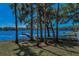A backyard has mature trees framing the water view, with a dock enhancing the property's appeal at 16019 Chastain Rd, Odessa, FL 33556