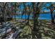 Aerial view of a lakefront backyard with a pier, deck with seating, mature trees and lush green lawn at 16019 Chastain Rd, Odessa, FL 33556