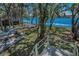 Lush backyard with a stepped walkway leading to a lake, creating a private and tranquil outdoor space for relaxation at 16019 Chastain Rd, Odessa, FL 33556