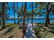 Scenic lakeside home with mature trees, green lawn, walkway to pier, and lush foliage at 16019 Chastain Rd, Odessa, FL 33556