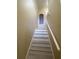Carpeted stairs featuring white risers and a handrail at 3441 Santa Rita Lane, Land O Lakes, FL 34639