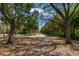 Tree-lined walking path offers a tranquil escape into nature, perfect for morning jogs and peaceful strolls at 3945 Versailles Dr, Tampa, FL 33634