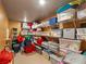 Basement storage area equipped with shelving and ample space for organized storage solutions at 5313 Windy Grove Dr, Wimauma, FL 33598