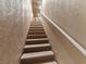 Carpeted staircase leading to the basement with a convenient handrail and good lighting at 5313 Windy Grove Dr, Wimauma, FL 33598