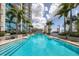 Stunning swimming pool area with palm trees, lounge chairs, and a view of the city at 777 N Ashley Dr # 1516, Tampa, FL 33602