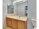 Bathroom features a vanity with a white sink and light wood cabinetry and a large mirror at 9516 Amberdale Ct # 202, Riverview, FL 33569
