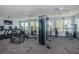 A gym with carpet flooring, weight machines, and treadmills, offering residents a convenient fitness space at 12315 Dora Trail, Parrish, FL 34219