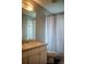 Modest bathroom features a vanity with sink, toilet, and shower with curtain at 18919 Place Marquette, Lutz, FL 33558