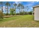 Large backyard offering a tranquil view of trees and nature, perfect for relaxation and privacy at 19624 Lonesome Pine Dr, Land O Lakes, FL 34638