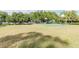Community basketball court in an open park area by the lake, inviting outdoor activities at 3398 Pinnacle S Ct, Palm Harbor, FL 34684