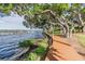 Scenic boardwalk along the water's edge, adorned with mature trees and a tranquil atmosphere at 3398 Pinnacle S Ct, Palm Harbor, FL 34684