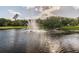 Scenic view of a community pond featuring a fountain, surrounded by lush greenery and trees at 3398 Pinnacle S Ct, Palm Harbor, FL 34684